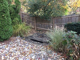 Photo detail