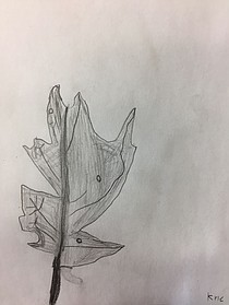 photo thumbnail