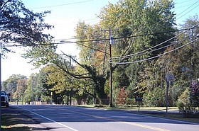Photo detail