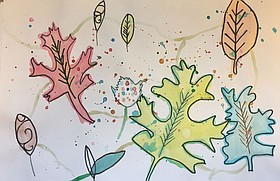 Photo detail