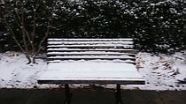 photo thumbnail