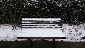 Photo detail