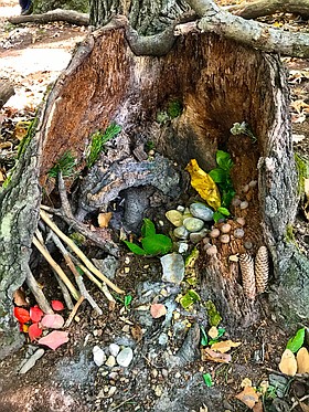 Photo detail
