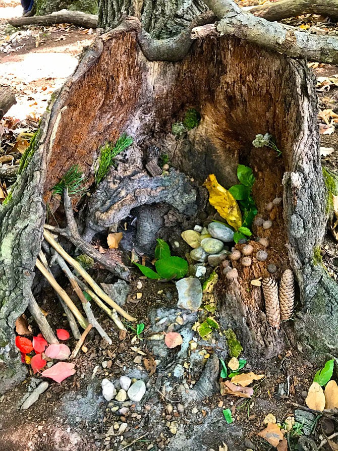 Photo detail
