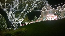 photo thumbnail