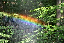 photo thumbnail