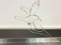 photo thumbnail