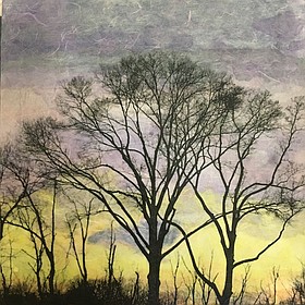 Photo detail