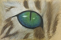 photo thumbnail