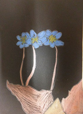 Photo detail