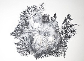 Photo detail