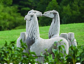 Photo detail
