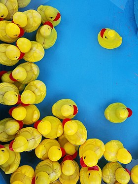 Photo detail