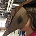 photo thumbnail