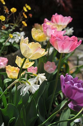 Photo detail