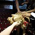 photo thumbnail