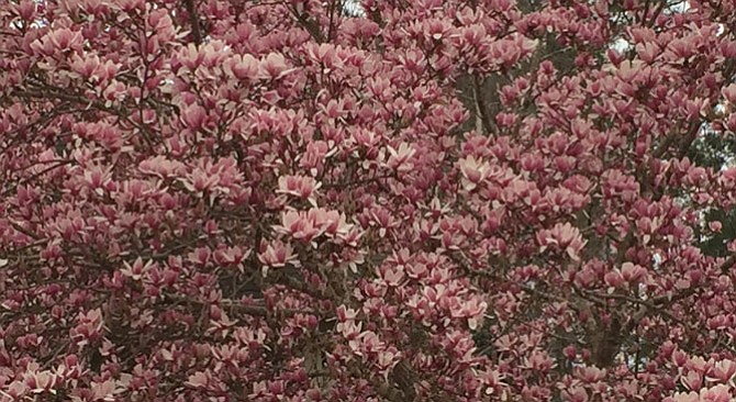Photo detail