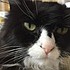 photo thumbnail