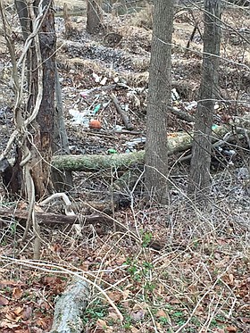 Photo detail