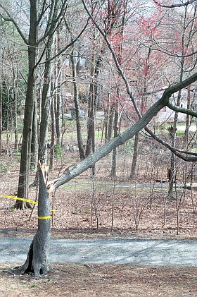 Photo detail