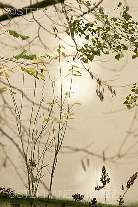 Photo detail