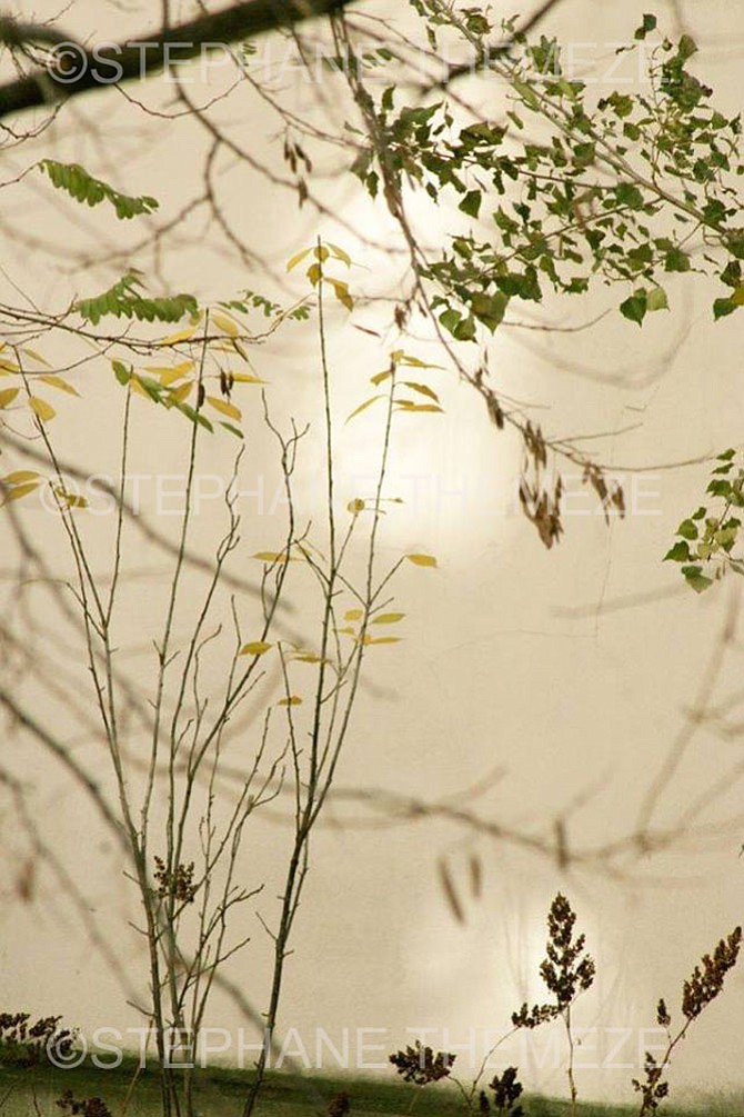 Photo detail