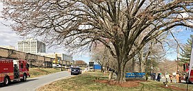 Photo detail