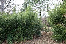 Photo detail