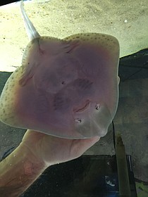photo thumbnail