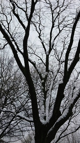 Photo detail