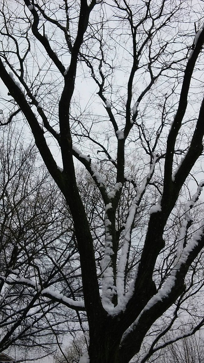 Photo detail