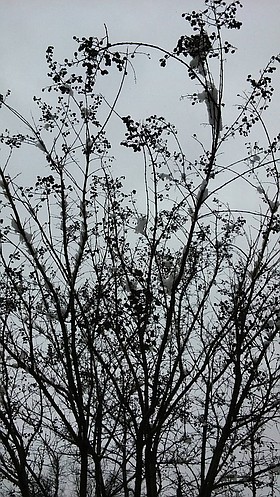 Photo detail