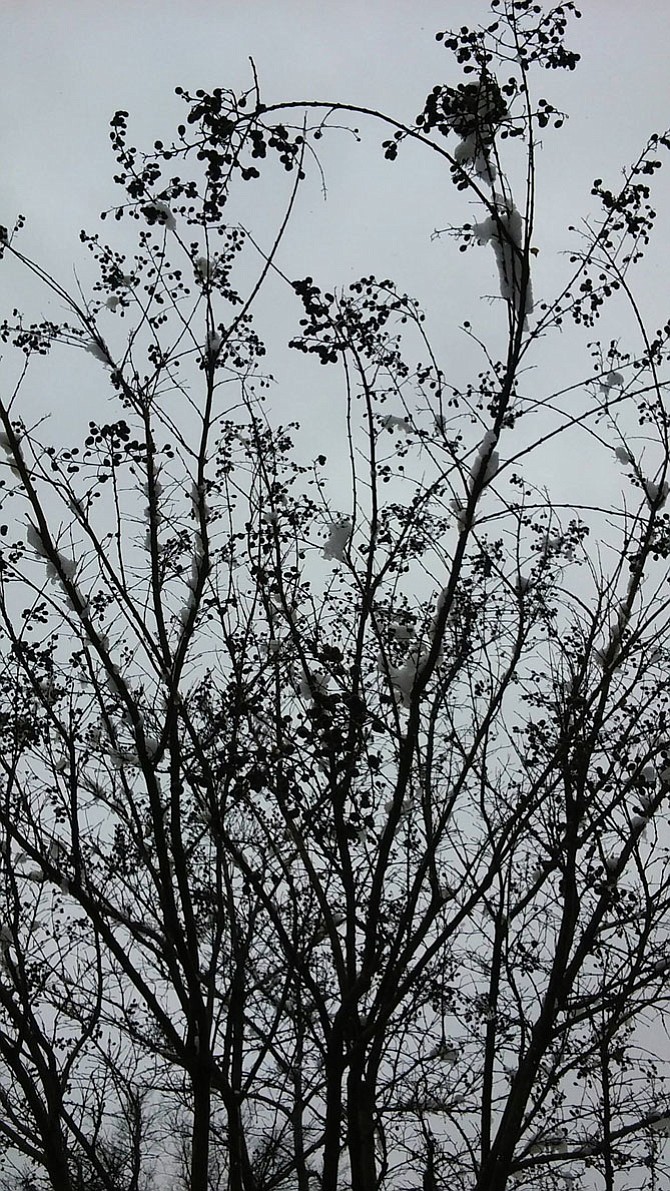 Photo detail