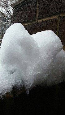 photo thumbnail