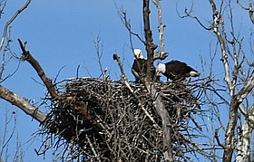 Photo detail