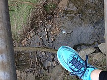 photo thumbnail