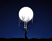 photo thumbnail