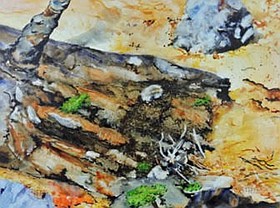 Photo detail