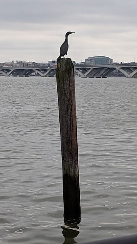 Photo detail