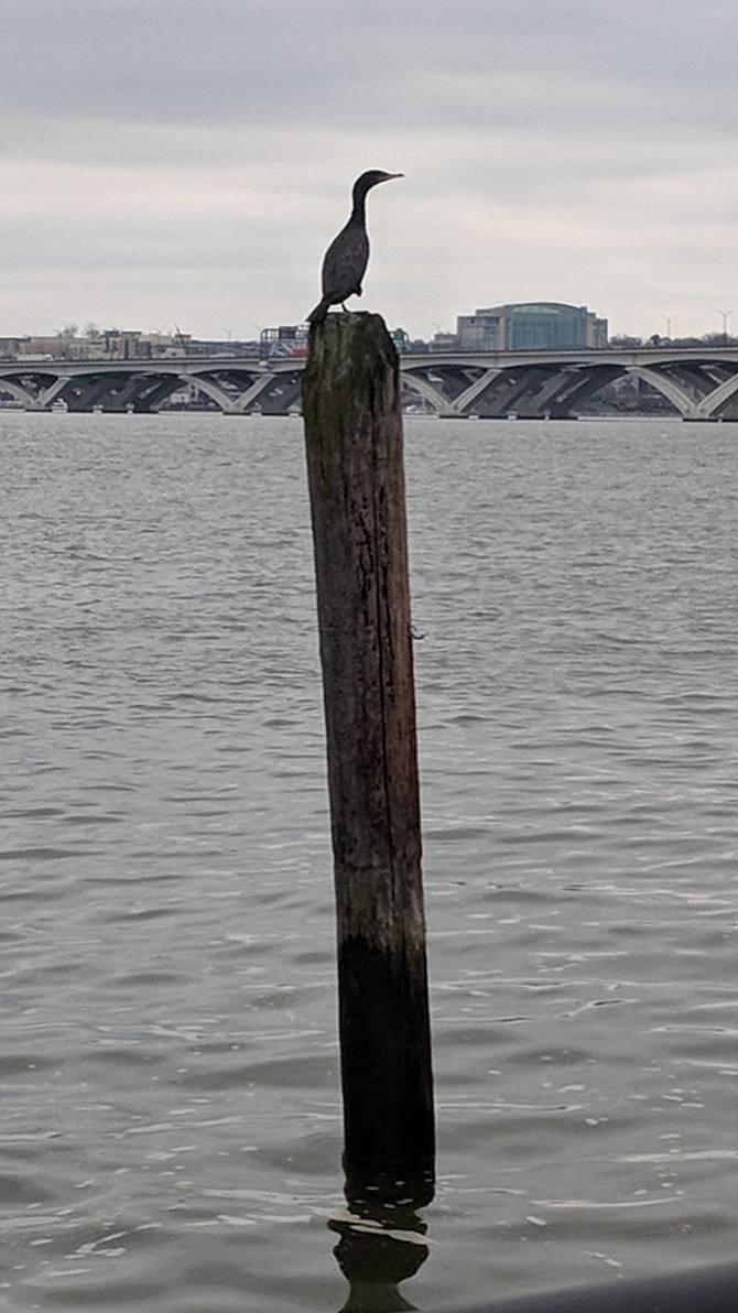 Photo detail