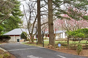 Photo detail