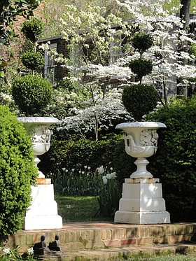 Photo detail