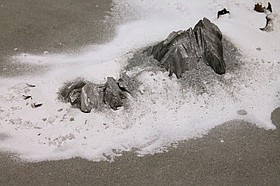 Photo detail