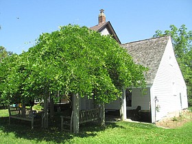 Photo detail