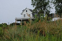 photo thumbnail