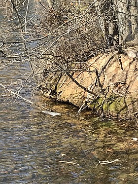 Photo detail