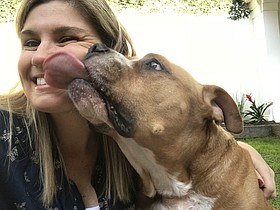 Photo detail