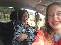 photo thumbnail