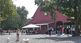 Photo detail