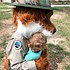photo thumbnail